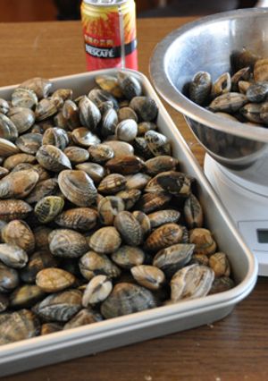 A picture of How to Preserve Manila Clams (Asari) in the Freezer.