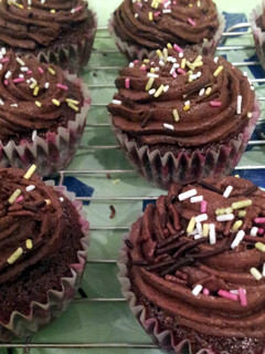 A picture of Delicious chocolate cupcakes.