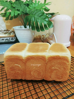 Foto resep Roti Tawar Susu