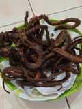 Belut goreng