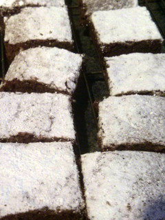 A picture of Our Favorite Brownies.