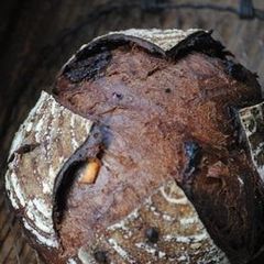 Pain de Campagne with Chocolate, Cranberries,and Yuzu Peel A picture of Pain de Campagne with Chocolate, Cranberries,and Yuzu Peel.