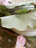 Sticky and Chewy Kashiwa Mochi