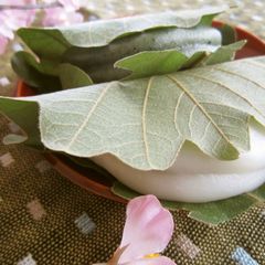 A picture of Sticky and Chewy Kashiwa Mochi.