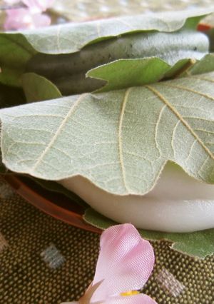A picture of Sticky and Chewy Kashiwa Mochi.