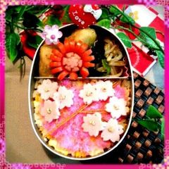 A picture of Cherry Blossom Bento for Hanami Viewing.