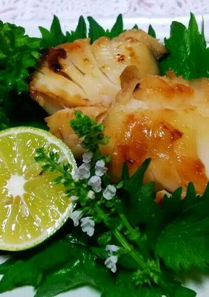 A picture of Miso-Marinated Grilled Cod.
