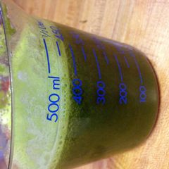 A picture of Kale Pineapple Mint Juice.
