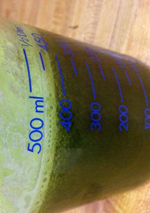 A picture of Kale Pineapple Mint Juice.
