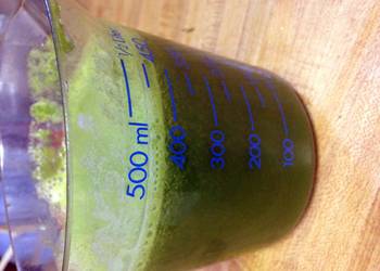 Easiest Way to Cook Tasty Kale Pineapple Mint Juice