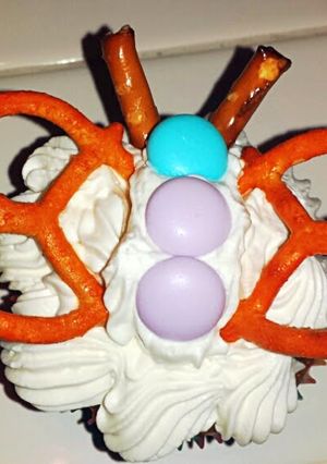 A picture of Ray's' Butterfly Carrot Cupcakes.
