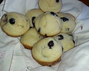 Ready to Serve Blueberry Muffins Delicious Perfect