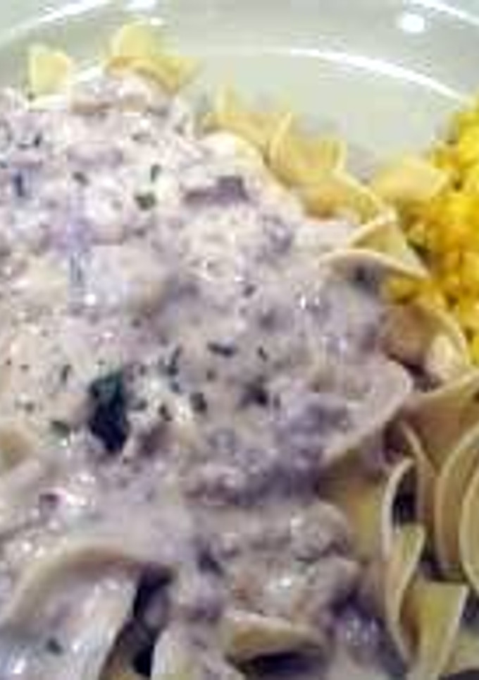 A picture of Stroganoff.