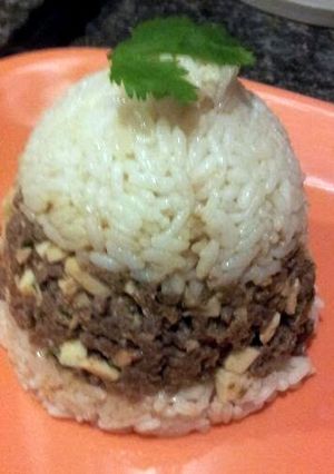 A picture of Arroz Tapado con Carne"Covered Ground Beef and Rice".
