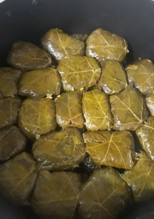 عکسی از دستور دلمه برگ مو