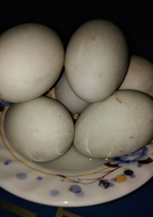 Hình của món Hột vịt lộn chấm muối tiêu.
