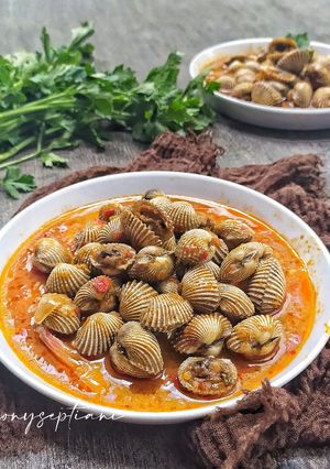 Foto resep Kerang Dara Saus Padang