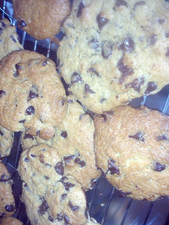 A picture of c is for cookies! scrumptious chocolate chip cookies.