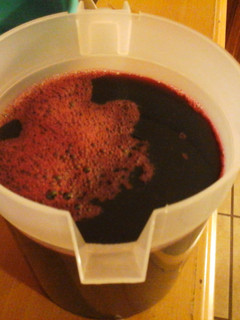 A picture of Hibiscus Flower Concentrate.