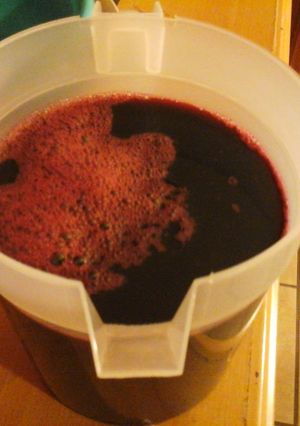 A picture of Hibiscus Flower Concentrate.