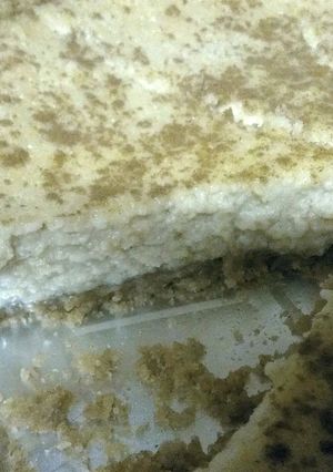 A picture of Dee's Easy Honeycrisp Apple cinammon cheesecake.