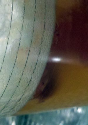 A picture of pineapple punch.