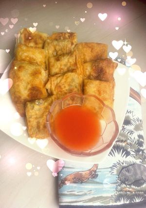 Foto resep Martabak dudidam