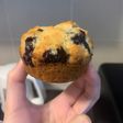 Blueberry Muffins