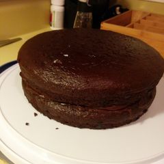 A picture of Gluten Free Fudge Cake.