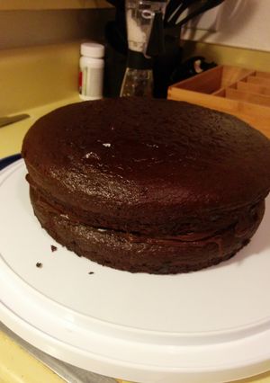 A picture of Gluten Free Fudge Cake.