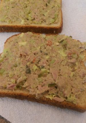 A picture of Skinny avacado tuna salad.
