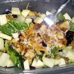 A picture of Apple cranberry chicken salad:).