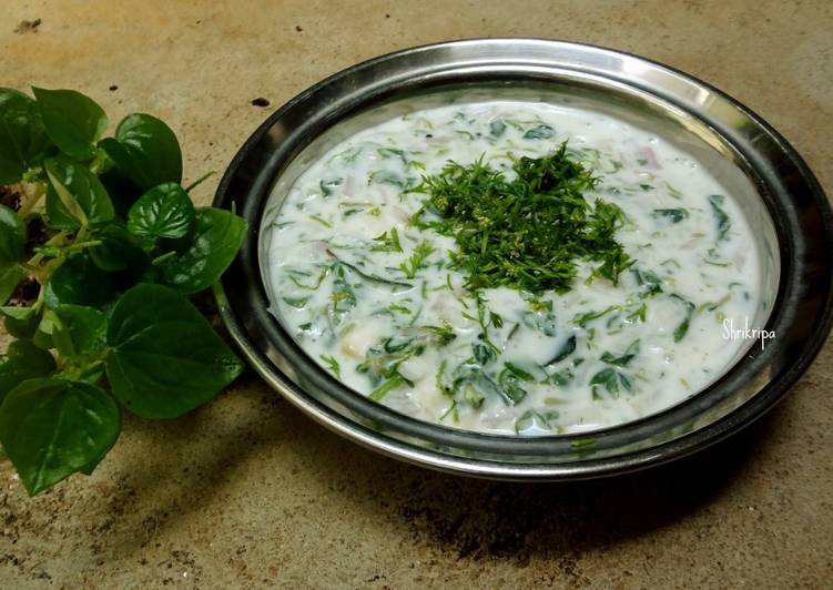 Peperomia Herb Neer kaddi Raita