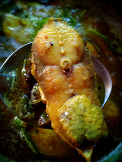 বেগুন আলু দিয়ে ইলিশ মাছের ঝোল(begun aloo diye illish macher jhol recipe in Bengali) রেসিপির প্রধান ছবি