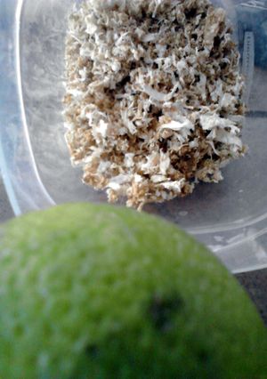 A picture of Dried Zest.. Lime, Lemon, Orange, Tangerine, Grapefruit, etc..