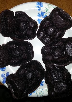 A picture of fudge brownies.