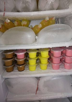 Foto resep Es krim homemade