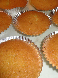 A picture of Exquisite Madeleines.
