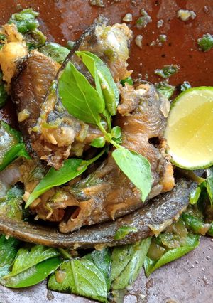 Foto resep Sambal Belut Kemangi