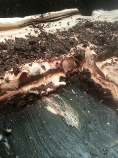 A picture of Oreo cookie lasagna.