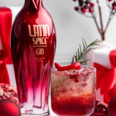 A picture of Holiday Cocktail Low calorie, Low Carb and Gluten Free.