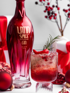 A picture of Holiday Cocktail Low calorie, Low Carb and Gluten Free.