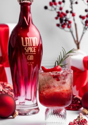 A picture of Holiday Cocktail Low calorie, Low Carb and Gluten Free.
