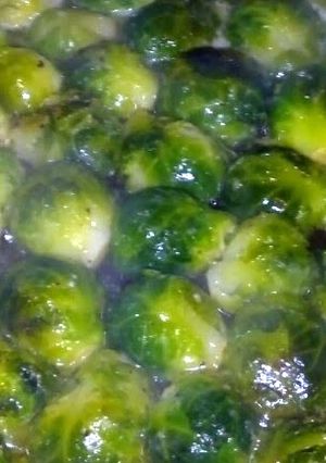 A picture of Major's Brussel Sprouts.