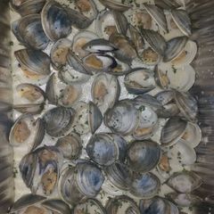 Johnny b-good southern clams A picture of Johnny b-good southern clams.