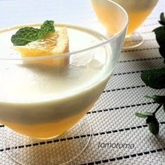 A picture of Easy Two Layer Bavarois Done in 10 Minutes.