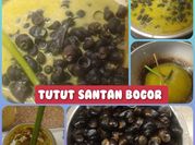 Gambar keong tutut