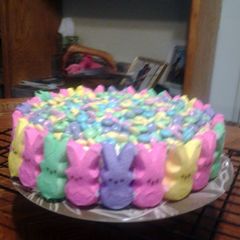 A picture of Spring Time Cake.