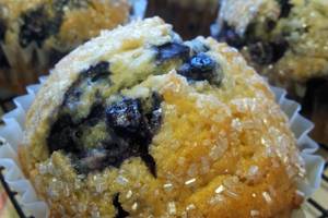 " Blueberry Muffins " ( made with splenda ) recipe main photo