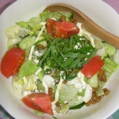 A picture of For Those on a Diet Super-Delicious Natto & Tofu Salad.